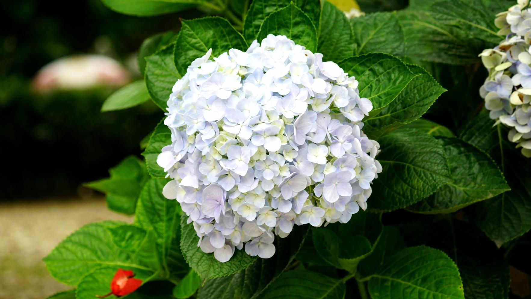 Экологичная флористическая композиция