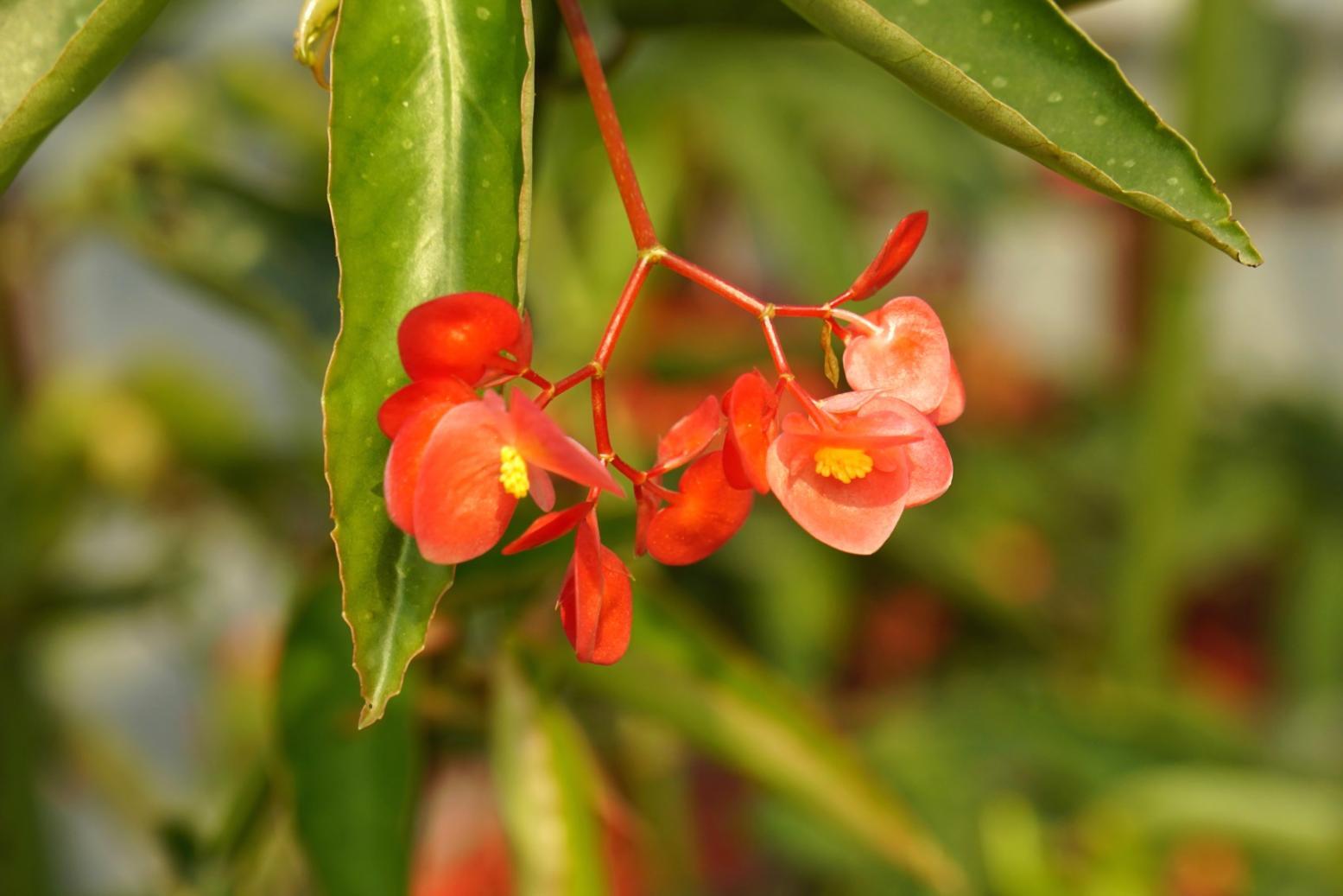 Композиция из сезонных растений на практическом занятии